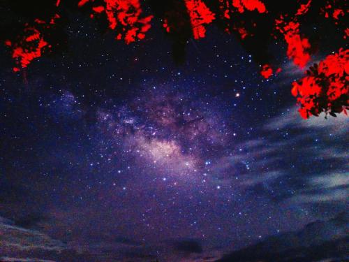 a night sky filled with stars and a tree at Napahong Treehouse นาป่าฮง Andromeda & Cassiopeia in Ban Pa Ha