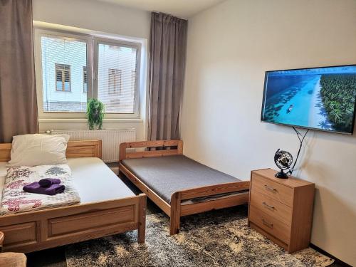 TV a/nebo společenská místnost v ubytování Apartmán Bystrc, Brno