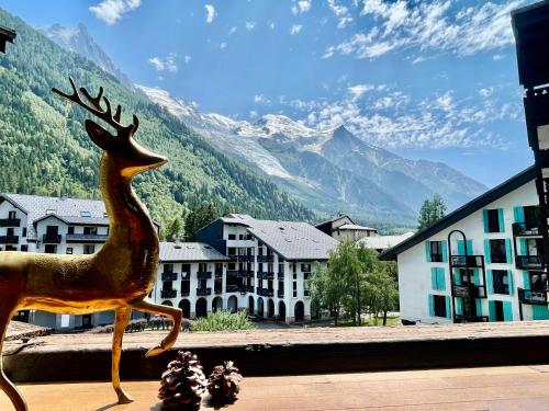 CHAMONIX Centre - Studio de charme Vue sur le Mont-Blc photo 12