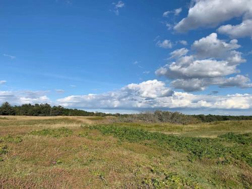 a field of grass with a blue sky and clouds at 14 person holiday home in Vejby in Vejby