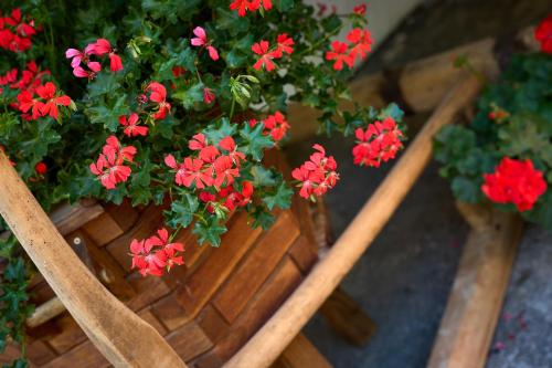 a bunch of red flowers in a wooden basket at Pfitscherhof in Campo di Trens