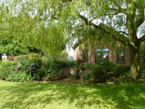 a house with a tree in a yard at Lambourne House - Ukc2831 in Winthorpe