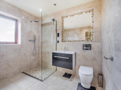 a bathroom with a shower and a toilet and a mirror at Sir A Wel in Llanerchymedd
