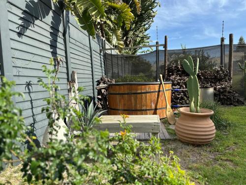 a cactus in a large vase in a garden at Boardrooms Kite Accommodation in Cape Town