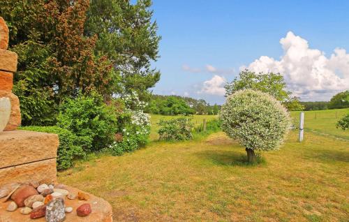 a garden with a small tree and a bush at Ferienwohnung Zislow in Zislow