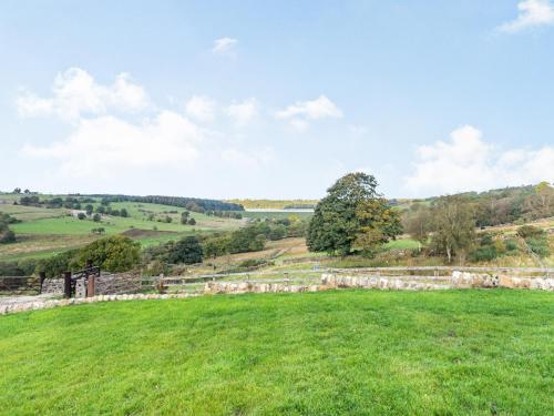 a green field with a stone fence and a tree at Buryemwick in Timble