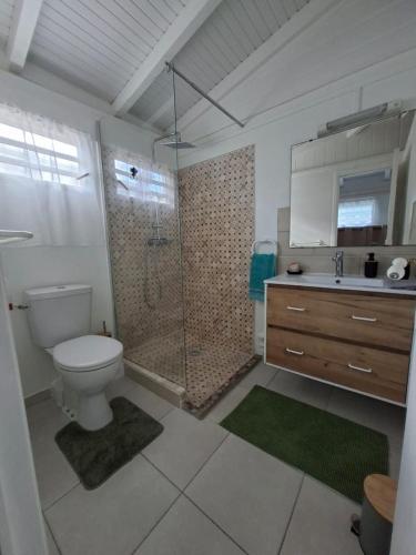 a bathroom with a toilet and a shower and a sink at Charmant F2 créole in Sainte-Luce