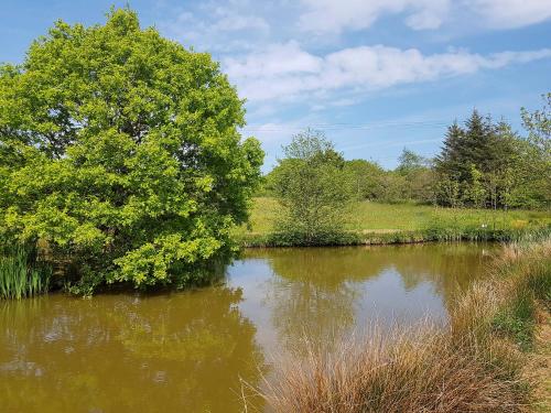 a body of water with trees in the middle at Acacia in Thornbury