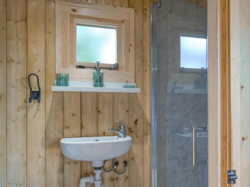 un baño con lavabo y ducha en The Cygnet At The Swan Inn, en Craven Arms