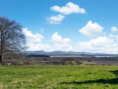 a green field with a tree in the middle of it at The Bothy - Uk33907 in Rattray