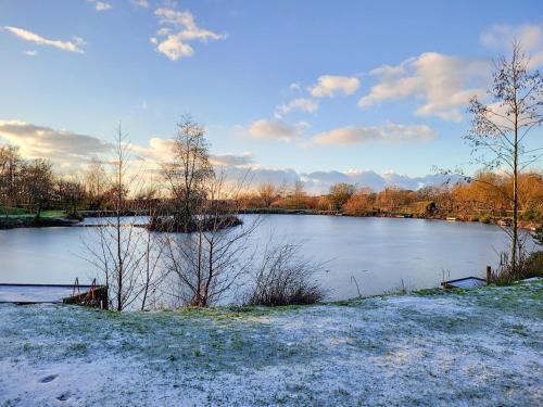 a frozen lake with snow on the ground and trees at Bluebell Lodge in Holsworthy