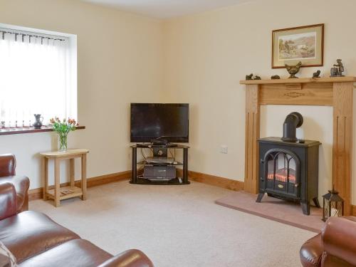a living room with a fireplace and a television at Little Meadow in Dearham