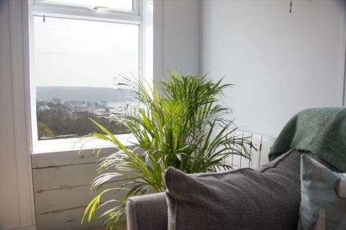 a couch sitting in front of a window with plants at Summers Beach View in Saint Mawes