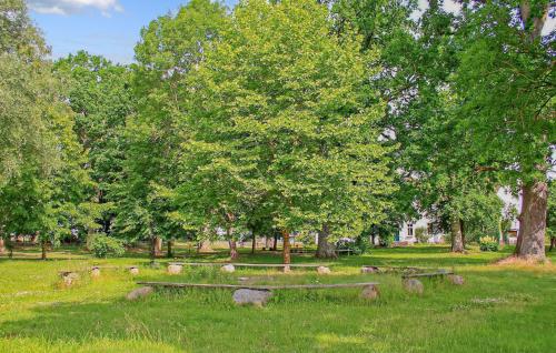 a park with a stone bench in the grass at Ferienwohnung Ankershagen in Friedrichsfeld