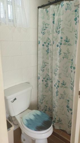 a bathroom with a toilet with a shower curtain at Cabaña Montaña Azul Boquete in Alto Boquete