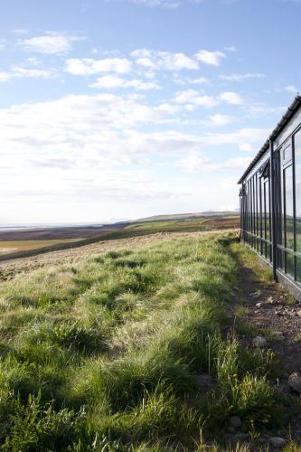 a fence in the middle of a grassy field at Hofsstadir - Country Hotel in Hofstaðir