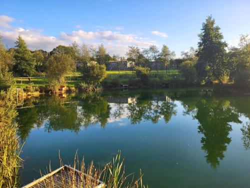 a view of a lake with trees and a field at Primrose Lodge in Holsworthy