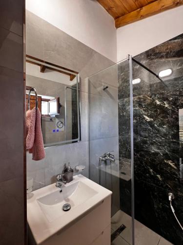 a bathroom with a sink and a shower at Ballkoni i Goricës in Goricë