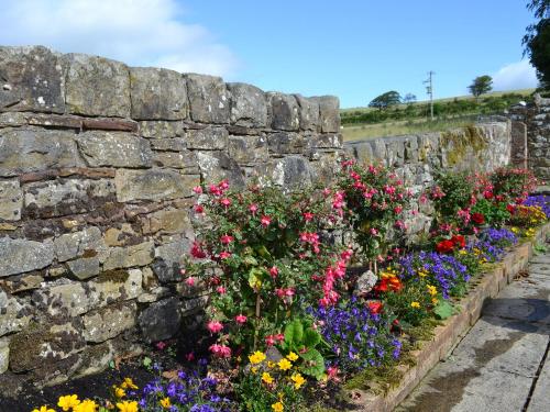 a stone wall with a bunch of flowers at Rosedale- Lyl in Ireby
