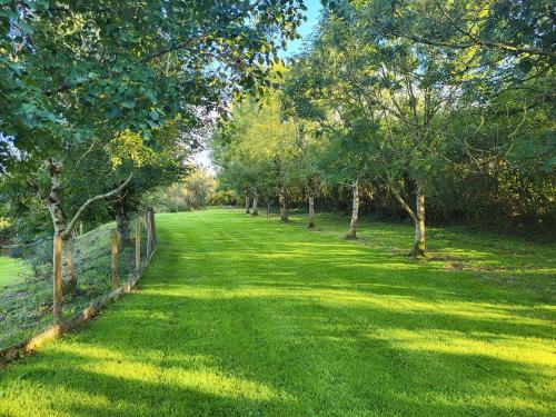 a field of grass with trees and a fence at Primrose Lodge in Holsworthy