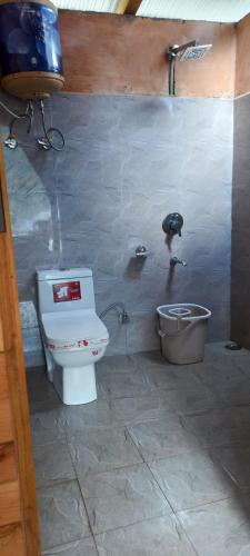 a bathroom with a toilet and a sink at Skytouch cottage Lambri pass view in Jibhi
