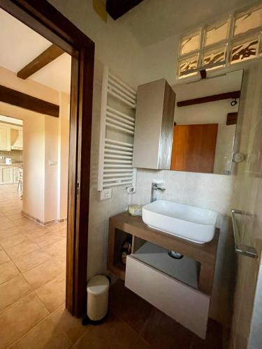 a bathroom with a sink and a mirror at La Dimora di Armida in Torricella Peligna