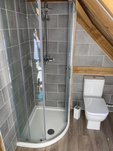 a bathroom with a shower and a toilet at Spirit Lake in Dorking