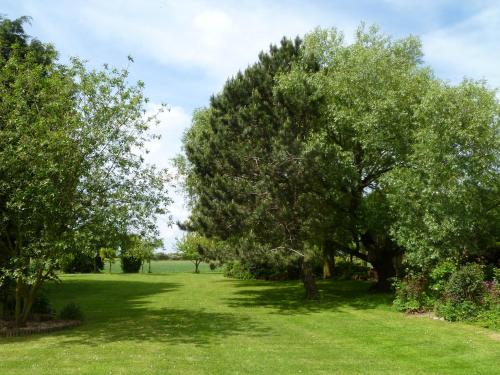 a green lawn with trees in a field at Ash Cottage E1224 in Winthorpe