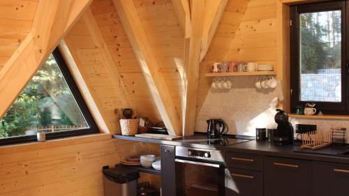 a kitchen with a stove in a wooden cabin at Molika Forest House in Kolašin