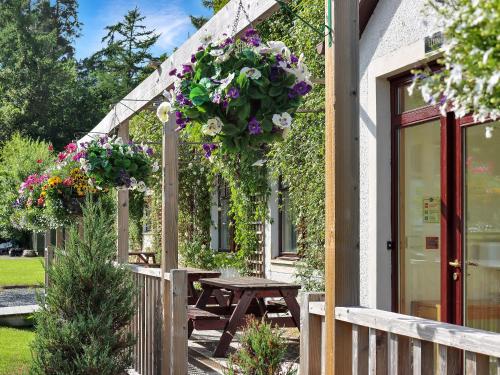 Zahrada ubytování Family Lodge No 3 - Uk45692