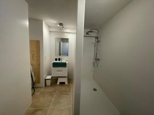 a bathroom with a shower and a sink at Appartement Rez de chaussée in La Celle-sous-Gouzon