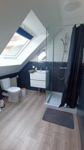 a bathroom with a shower and a toilet and a sink at Les tournesols in Woincourt