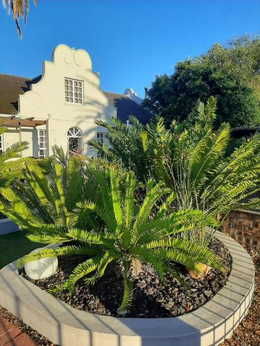 a garden in front of a house with palm trees at Simply The Choice Manor in Panorama