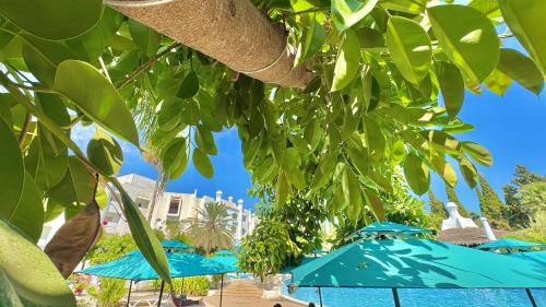 Zahrada ubytování Hammamet Garden Resort and Spa