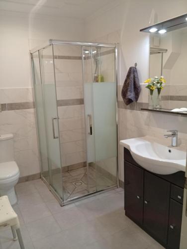 a bathroom with a shower and a sink at Pavillon de Diane, Le Malesherbois in Gollainville