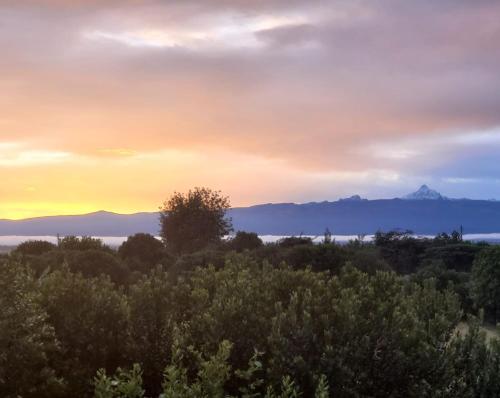 a sunset over a forest with mountains in the background at DesertDewEstate in Nanyuki