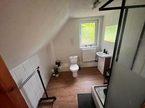an attic bathroom with a toilet and a sink at Słoneczny domek in Brenna