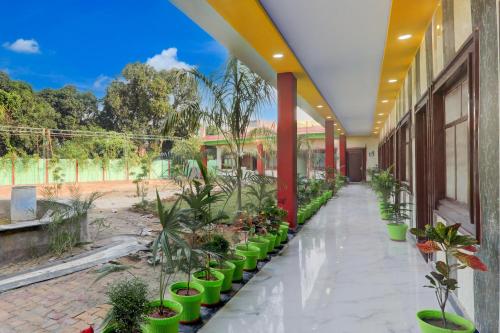 Zahrada ubytování Hotel Ranjana Diamond