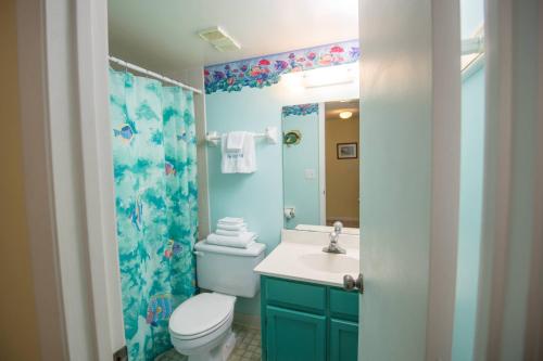 a bathroom with a toilet and a sink and a mirror at Pier Point South Ocean View Townhouse Condo D-49 in Saint Augustine Beach