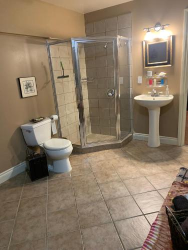 a bathroom with a shower and a toilet and a sink at Shoreside Private room in Sechelt
