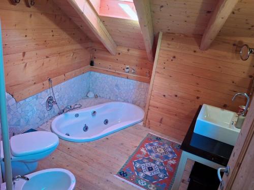 a bathroom with a tub and a toilet and a sink at Maso Tre Cucù by Go New Location in Cavalese
