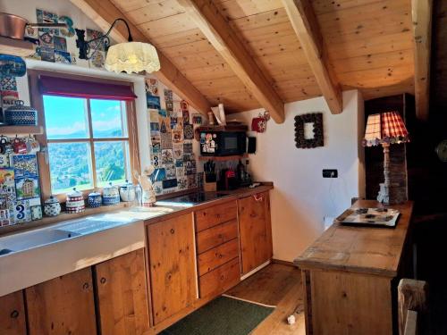a kitchen with wooden cabinets and a sink and a window at Maso Tre Cucù by Go New Location in Cavalese
