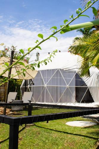 a greenhouse with two chairs in the grass at Orange Eco Villas in Quimbaya