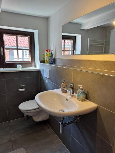 a bathroom with a sink and a toilet and a mirror at Nr7 Das Ferienhaus in Hameln