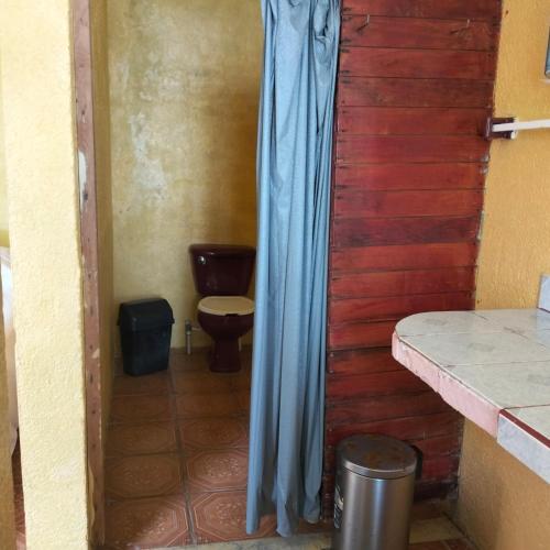 a bathroom with a toilet and a blue curtain at ecohabitas in Mazunte