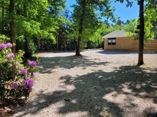 a driveway with trees and a building in the background at Secret Wellness Oase in Holten