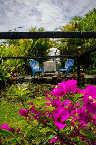 two blue chairs and pink flowers in a garden at Orange Eco Villas in Quimbaya
