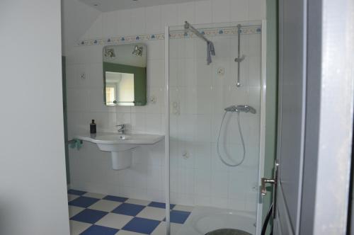 a bathroom with a shower and a sink at chambre a la campagne in Landisacq