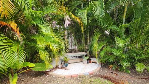 a bench in the middle of a forest of palm trees at Serenity in Saint Peter