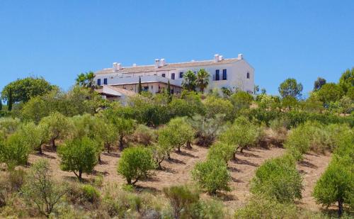 a house on top of a hill with trees at La Posada del Torcal in Villanueva de la Concepción